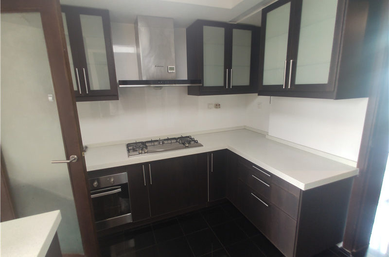 one park avenue penthouse apartment for rent Jing An temple Shanghai